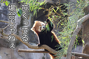 ★「気持ちを切り替える方法ってありますか？」のアイキャッチ画像