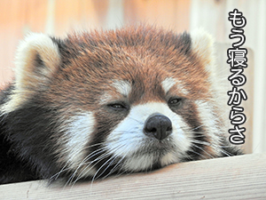 ★「自分に自信が持てない時はどうしたらいいですか？」のアイキャッチ画像