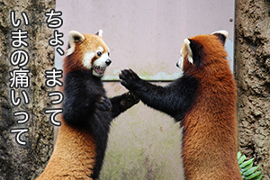 ★「気持ちが焦ってしまう時はどうすればいいですか？」のアイキャッチ画像