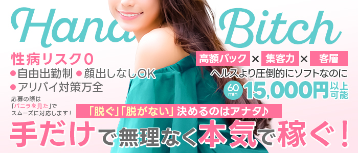 ハンドビッチの未経験求人画像