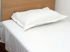 ハンドリング 亀頭責め専門店の寮・宿泊施設画像1