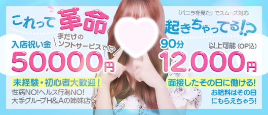 ハンドメイドコレクション 太田