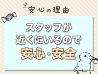 プルプル札幌性感エステはんなりで働くメリット7
