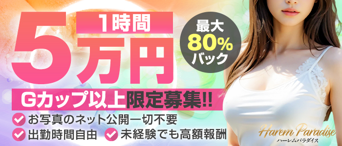 ハーレムパラダイスの求人画像