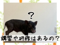 はぁとぶるで働くメリット1