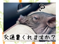 はぁとぶるで働くメリット2