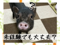 はぁとぶるで働くメリット4
