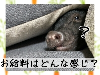 はぁとぶるで働くメリット5