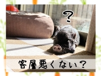 はぁとぶるで働くメリット6