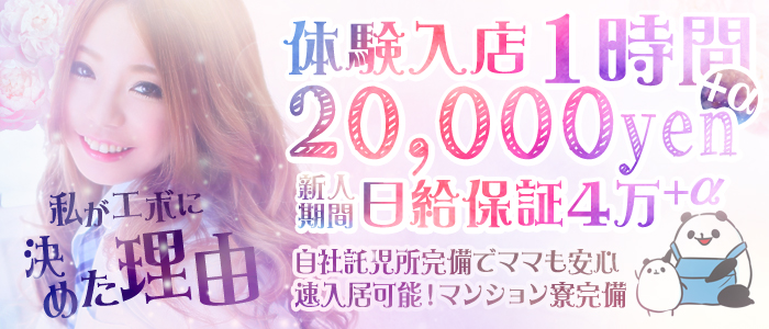 ハイパーエボリューション
