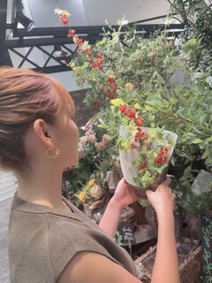 さらさん