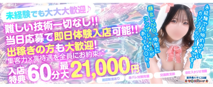 チューリップ姫路店の求人画像