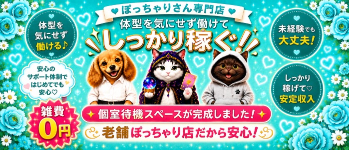 ちょい！ぽちゃロリ倶楽部Hip's馬橋店の求人画像