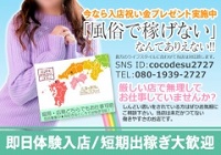 各サイトランキング上位店