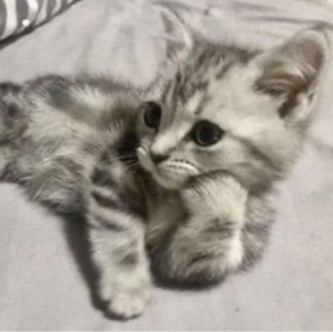 お客様に喜ばれる気遣いのテクニックなどあれば教えてほしいです！のアイキャッチ画像