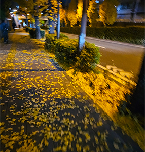 季節感のアイキャッチ画像