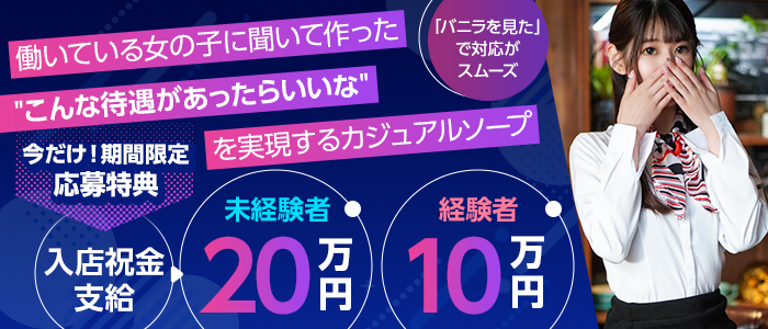 秘書コレクション徳島の出稼ぎ求人画像