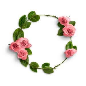 自信が無くても採用させていただきます！稼ぎましょう！のアイキャッチ画像