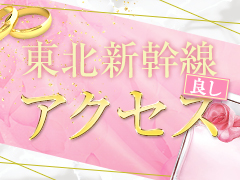 東北新幹線アクセス良し