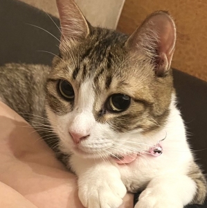 未経験の方へ。正直な話、最初はみんな不安です。のアイキャッチ画像
