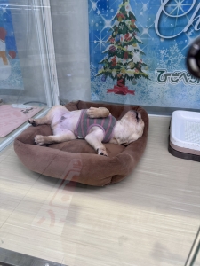 まるでおじさんのアイキャッチ画像