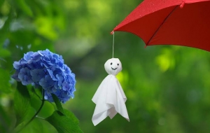梅雨のアイキャッチ画像