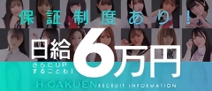 お給料システム※保証あり