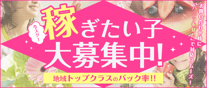 ハニーコレクションの求人画像