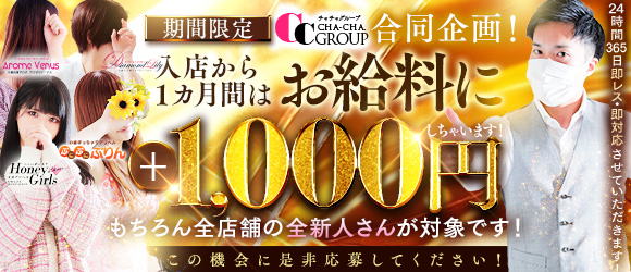 CHA.CHA.GROUPの未経験求人画像