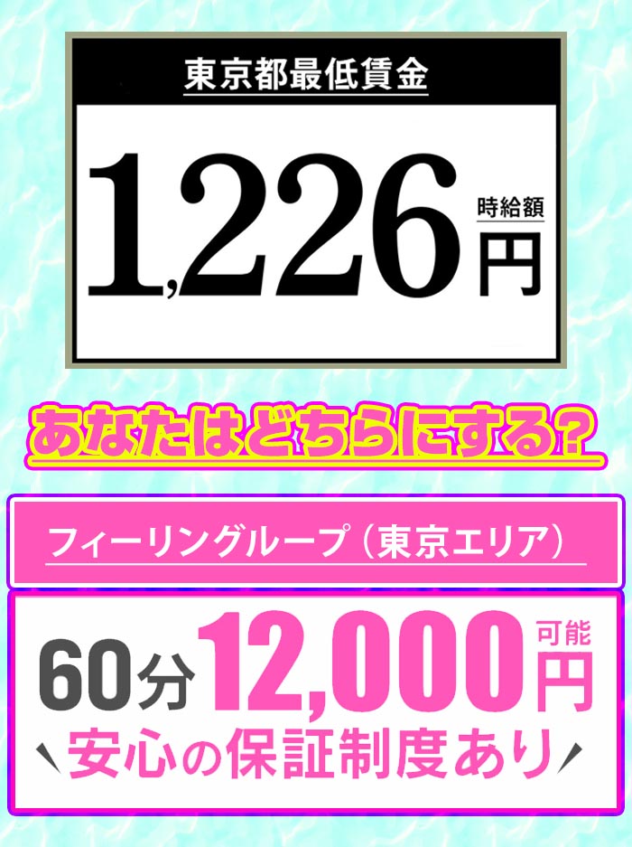 フィーリングループ（東京エリア）の給与画像2