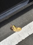 バナナで滑るとかあるんだ・・・のアイキャッチ画像