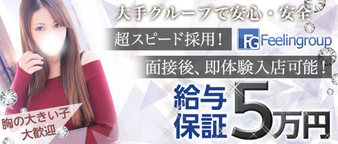 ほんとうの人妻 静岡店(FG系列)のぽっちゃり求人画像