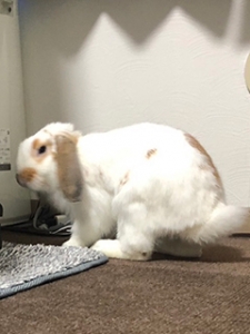 ◆お仕事後に食べたい or 飲みたい物を教えてください！のアイキャッチ画像