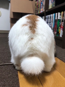 ◆接客にキャラ作りは必須でしょうか？のアイキャッチ画像