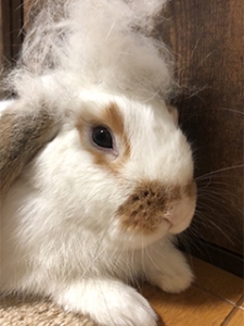 ◆お店でタバコは吸えますか？また吸わない女の子への配慮はありますか？のアイキャッチ画像