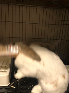 ◆ブログ投稿者さんが健康のために気を付けていることはありますか？のアイキャッチ画像