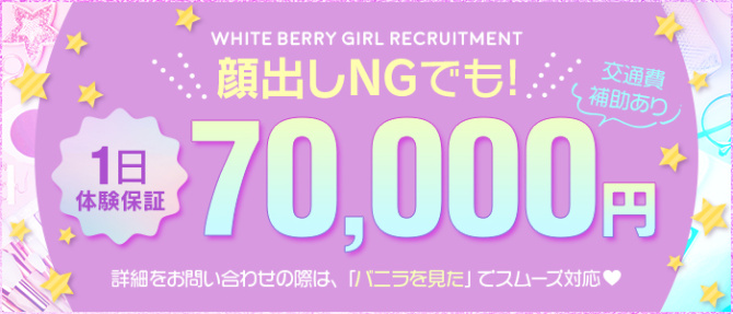 White Berryのぽっちゃり求人画像