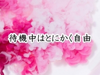 101ichimaruichiで働くメリット4