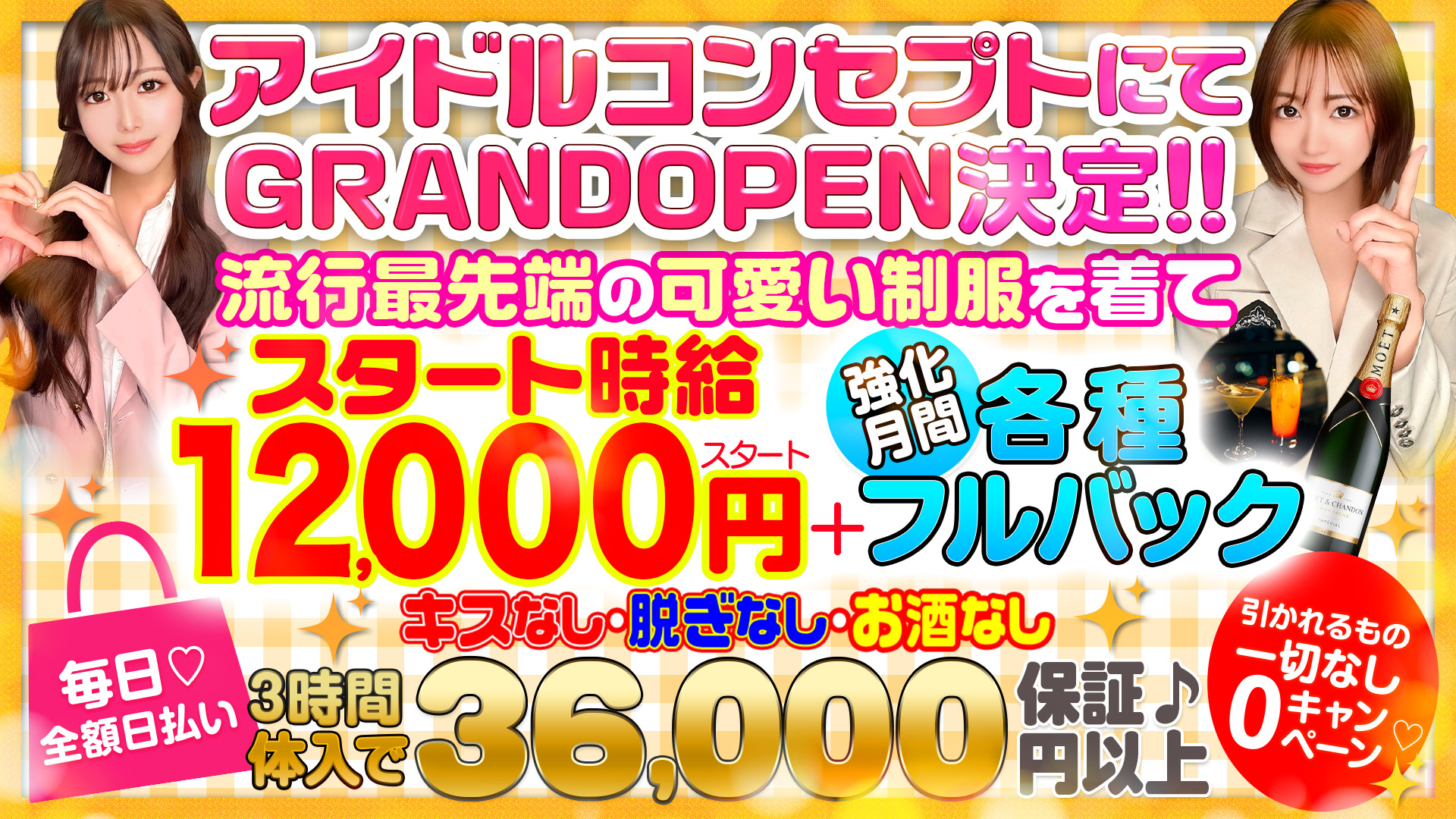 IDOL オーディションの求人画像