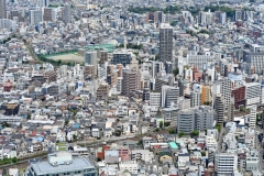驚異の77.2%!!