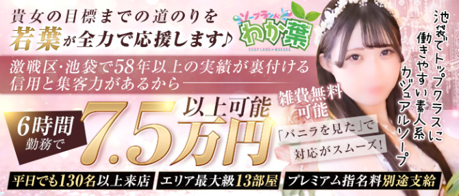 わか葉のぽっちゃり求人画像