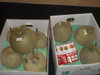 Fantasy（ファンタジー）で働くメリット9