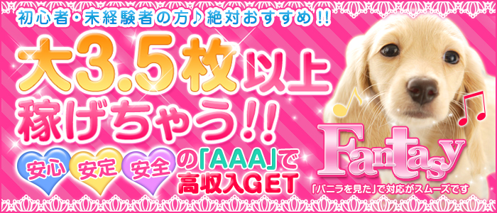 Fantasy（ファンタジー）の未経験求人画像