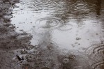 湿気がすごいぜ雨の日編のアイキャッチ画像