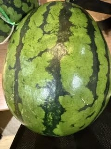 情けないけど目標変更ですのアイキャッチ画像