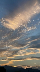 🌸いよいよ春到来🌸のアイキャッチ画像