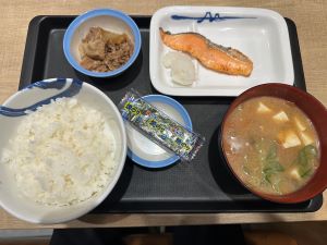 鮭は定期的にのアイキャッチ画像