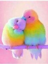 妹は新入生の面接人画像
