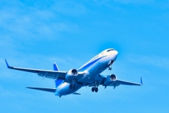 飛行機代支給～♪