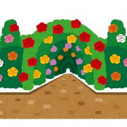 バラ園のアイキャッチ画像